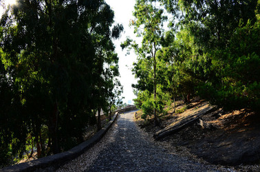ISOLA DI USTICA il paese. Fotografie di Giulio Azzarello ©2016. ISOLA DI USTICA il paese. Fotografie di Giulio Azzarello ©2016.
