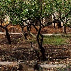 AUTUNNO fotografie di Giulio Azzarello ©2021. AUTUNNO fotografie di Giulio Azzarello ©2021.