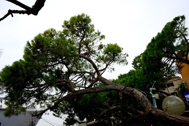 BIENNALE ARTI CONTEMPORANEE DI VENEZIA fotografie di Giulio Azzarello ©2020.