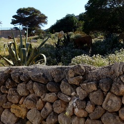 BESTIE. Fotografie di Giulio Azzarello ©2022. BESTIE. Fotografie di Giulio Azzarello ©2022.