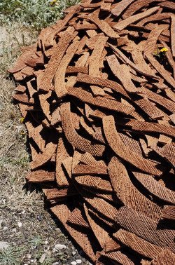 ARTE CONTEMPORANEA A PIRGI sito e riserva archeologica. Fotografie di Giulio Azzarello &copy;2014.