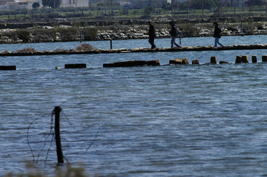 WWF Sicilia le Saline di Trapani. Fotografie di Giulio Azzarello &copy;2014.