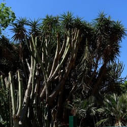 GIARDINO. Fotografie di Giulio Azzarello ©2022.