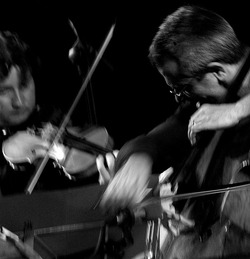 GIOVANNI SOLLIMA in concerto. Fotografie di Giulio Azzarello &copy;2014.