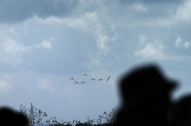 WWF Sicilia le Saline di Trapani. Fotografie di Giulio Azzarello &copy;2014.