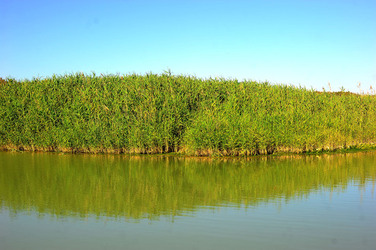 CANNETI in SICILIA. Fotografie di Giulio Azzarello &copy;2016.