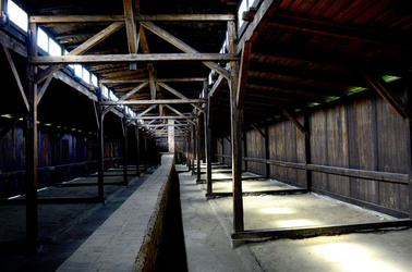AUSCHWITZ BIRKENAU il percorso della memoria e i documenti. Fotografie di Giulio Azzarello &copy;2016.
