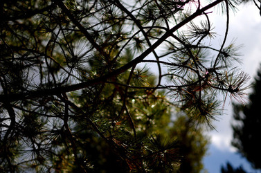 IL PARCO DELLE MADONIE da Polizzi Generosa in Sicilia. Fotografie di Giulio Azzarello &copy;2014.