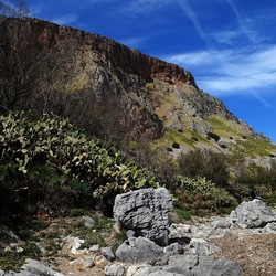 RISERVA NATURALE. Fotografie di Giulio Azzarello &copy;2022.