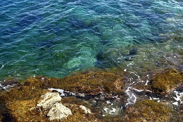 ARENELLA Fotografia di Giulio Azzarello ©2022.