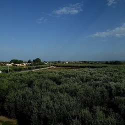 SELINUNTE. Fotografie di Giulio Azzarello ©2022. SELINUNTE. Fotografie di Giulio Azzarello ©2022.