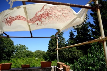 GIARDINO SICILIANO fotografie di Giulio Azzarello ©2021. GIARDINO SICILIANO fotografie di Giulio Azzarello ©2021.