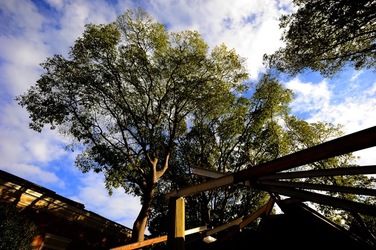 BIENNALE di VENEZIA 2017 i giardini. Fotografie di Giulio Azzarello ©2018. BIENNALE di VENEZIA 2017 i giardini. Fotografie di Giulio Azzarello ©2018.