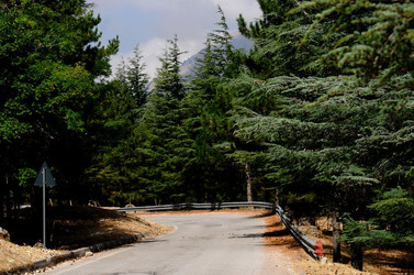 IL PARCO DELLE MADONIE da Polizzi Generosa in Sicilia. Fotografie di Giulio Azzarello &copy;2014.