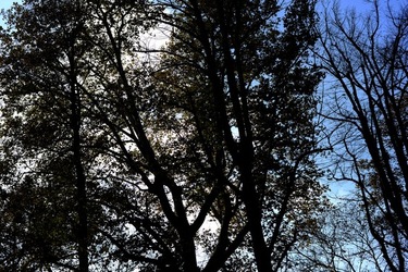 VENEZIA Giardini della Biennale di Arch. Cont.. Fotografie di Giulio Azzarello ©2022.