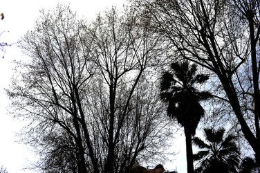 VILLA BONANNO a Palermo. Fotografie di Giulio Azzarello &copy;2016.