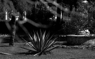 BIANCO NERO. Fotografie di Giulio Azzarello ©2021. BIANCO NERO. Fotografie di Giulio Azzarello ©2021.