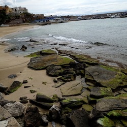 CAMMINANDO. Fotografie di Giulio Azzarello &copy;2024.