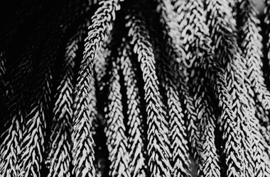 FOTOGRAFIE SPECIALI bianco e nero colore astratto concettuale grafico. Fotografie di Giulio Azzarello &copy;2014.