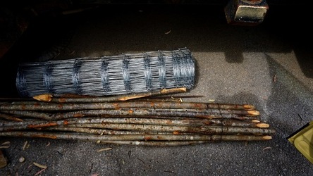 ULIVETO SICILIANO. Fotografie di Giulio Azzarello ©2022.