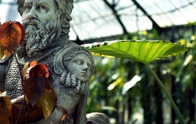 ORTO BOTANICO di Palermo. Fotografie di Giulio Azzarello ©2021.