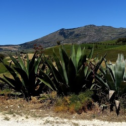 SEGESTA. Fotografie di Giulio Azzarello ©2024. SEGESTA. Fotografie di Giulio Azzarello ©2024.