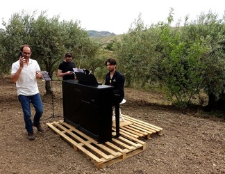 ULIVETO SICILIANO. Fotografie di Giulio Azzarello ©2022.