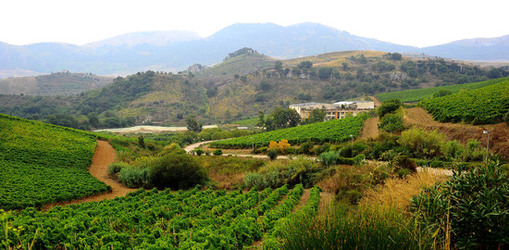 CAMPAGNA SICILIANA. Fotografie di Giulio Azzarello &copy;2016.