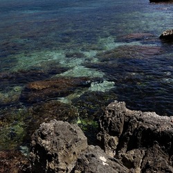 BAIA DEL CORALLO. Fotografie di Giulio Azzarello &copy;2022.