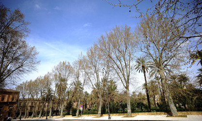 VILLA BONANNO a Palermo. Fotografie di Giulio Azzarello &copy;2016.