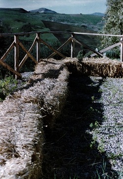 DIGITALIZZAZIONI fotografie di Giulio Azzarello &copy;2020.