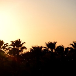 SELINUNTE. Fotografie di Giulio Azzarello ©2022. SELINUNTE. Fotografie di Giulio Azzarello ©2022.