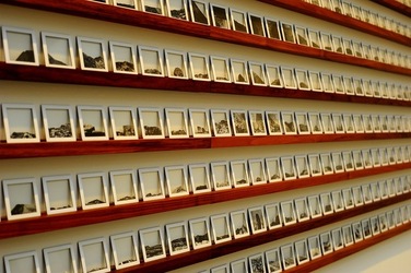 BIENNALE di VENEZIA 2017 i giardini. Fotografie di Giulio Azzarello ©2018. BIENNALE di VENEZIA 2017 i giardini. Fotografie di Giulio Azzarello ©2018.