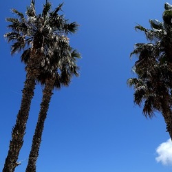 SAN VITO LO CAPO. Fotografie di Giulio Azzarello &copy;2023.