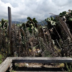 TERRASINI. Fotografie di Giulio Azzarello &copy;2022.