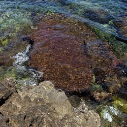 BAIA DEL CORALLO. Fotografie di Giulio Azzarello &copy;2022.