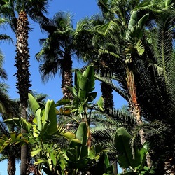 SELINUNTE. Fotografie di Giulio Azzarello ©2022. SELINUNTE. Fotografie di Giulio Azzarello ©2022.