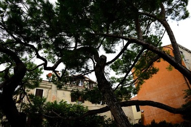 BIENNALE ARTI CONTEMPORANEE DI VENEZIA fotografie di Giulio Azzarello ©2020.