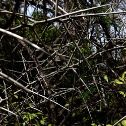 ORTO BOTANICO. Fotografie di Giulio Azzarello &copy;2024.