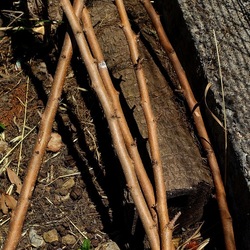 GIARDINO SICILIANO. Fotografie di Giulio Azzarello ©2022. GIARDINO SICILIANO. Fotografie di Giulio Azzarello ©2022.