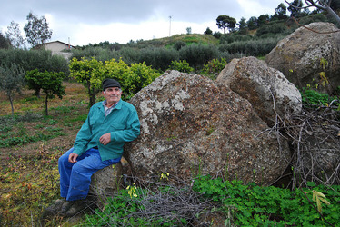 TIPICO FRANTOIO fotografie di Giulio Azzarello ©2014. TIPICO FRANTOIO fotografie di Giulio Azzarello ©2014.