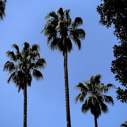 ORTO BOTANICO. Fotografie di Giulio Azzarello &copy;2024.
