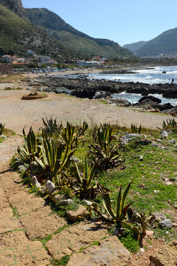 CAPO GALLO riserva marina e naturalistica a Palermo panoramiche e particolari. Fotografie di Giulio Azzarello ©2014. CAPO GALLO riserva marina e naturalistica a Palermo panoramiche e particolari. Fotografie di Giulio Azzarello ©2014.