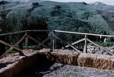 DIGITALIZZAZIONI fotografie di Giulio Azzarello &copy;2020.