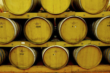 BOTTI per il vino. Fotografie di Giulio Azzarello ©2016. BOTTI per il vino. Fotografie di Giulio Azzarello ©2016.