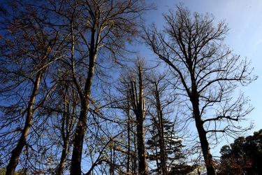 VENEZIA Giardini della Biennale di Arch. Cont.. Fotografie di Giulio Azzarello ©2022.