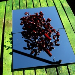 SPECCHIATI. Fotografia di Giulio Azzarello ©2023. SPECCHIATI. Fotografia di Giulio Azzarello ©2023.