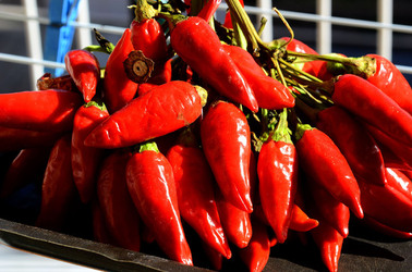 PEPERONCINO fotografie di Giulio Azzarello ©2014. PEPERONCINO fotografie di Giulio Azzarello ©2014.