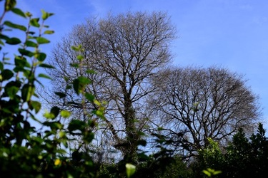 CAMPAGNA fotografie di Giulio Azzarello ©2020.