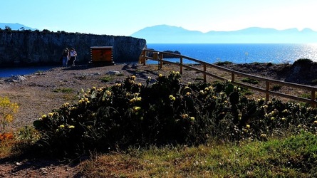 CAPO RAMA riserva naturale Terrasini. Fotografie di Giulio Azzarello &copy;2020.